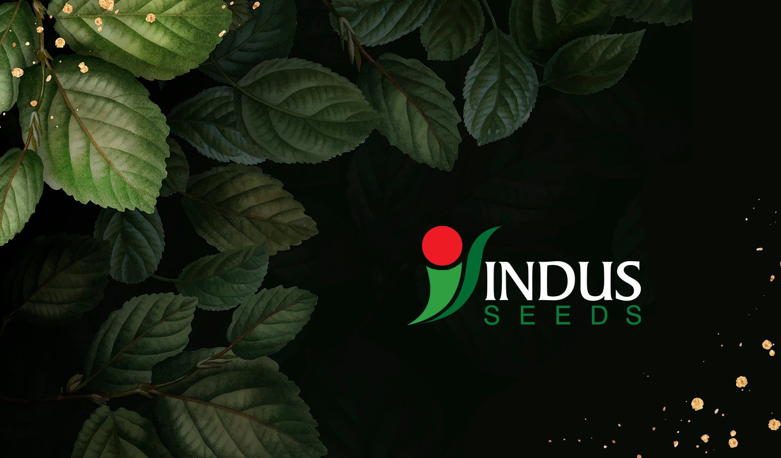 Diseño Gráfico Scenic