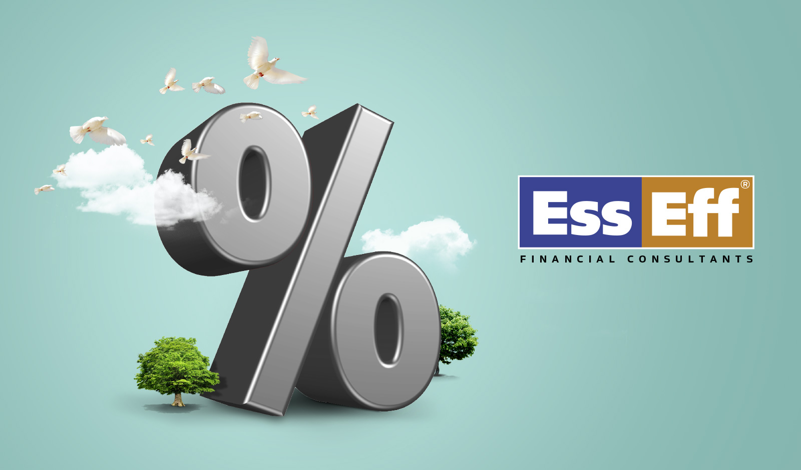 Diseño Gráfico Scenic